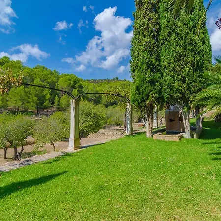 Bolei Sant Elm
